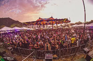 Euphoria